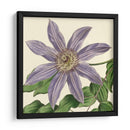 Visión Tropical Iii - Vision Studio | Cuadro decorativo de Canvas Lab