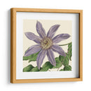 Visión Tropical Iii - Vision Studio | Cuadro decorativo de Canvas Lab