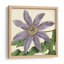 Visión Tropical Iii - Vision Studio | Cuadro decorativo de Canvas Lab