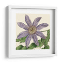 Visión Tropical Iii - Vision Studio | Cuadro decorativo de Canvas Lab