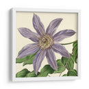 Visión Tropical Iii - Vision Studio | Cuadro decorativo de Canvas Lab