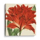 Visión Tropical V - Vision Studio | Cuadro decorativo de Canvas Lab