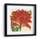 Visión Tropical V - Vision Studio | Cuadro decorativo de Canvas Lab