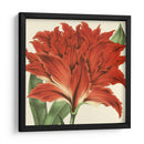 Visión Tropical V - Vision Studio | Cuadro decorativo de Canvas Lab