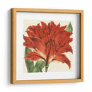 Visión Tropical V - Vision Studio | Cuadro decorativo de Canvas Lab
