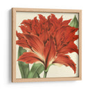 Visión Tropical V - Vision Studio | Cuadro decorativo de Canvas Lab