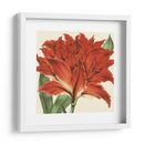 Visión Tropical V - Vision Studio | Cuadro decorativo de Canvas Lab
