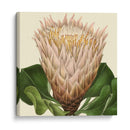 Visión Tropical Vi - Vision Studio | Cuadro decorativo de Canvas Lab