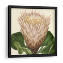 Visión Tropical Vi - Vision Studio | Cuadro decorativo de Canvas Lab