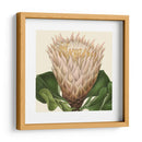 Visión Tropical Vi - Vision Studio | Cuadro decorativo de Canvas Lab