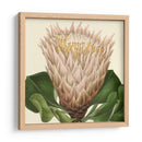 Visión Tropical Vi - Vision Studio | Cuadro decorativo de Canvas Lab