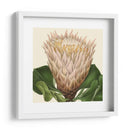 Visión Tropical Vi - Vision Studio | Cuadro decorativo de Canvas Lab