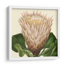 Visión Tropical Vi - Vision Studio | Cuadro decorativo de Canvas Lab