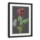 Variedades De Jardín De Medianoche Vi - Vision Studio | Cuadro decorativo de Canvas Lab