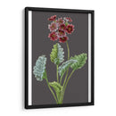 Variedades De Jardín De Medianoche Vi - Vision Studio | Cuadro decorativo de Canvas Lab