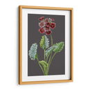 Variedades De Jardín De Medianoche Vi - Vision Studio | Cuadro decorativo de Canvas Lab