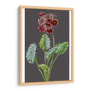 Variedades De Jardín De Medianoche Vi - Vision Studio | Cuadro decorativo de Canvas Lab