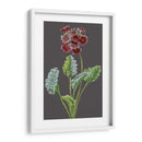 Variedades De Jardín De Medianoche Vi - Vision Studio | Cuadro decorativo de Canvas Lab