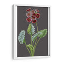 Variedades De Jardín De Medianoche Vi - Vision Studio | Cuadro decorativo de Canvas Lab