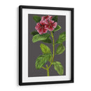 Variedades De Jardín De Medianoche Ix - Vision Studio | Cuadro decorativo de Canvas Lab