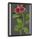 Variedades De Jardín De Medianoche Ix - Vision Studio | Cuadro decorativo de Canvas Lab