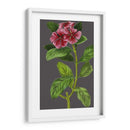Variedades De Jardín De Medianoche Ix - Vision Studio | Cuadro decorativo de Canvas Lab