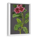 Variedades De Jardín De Medianoche Ix - Vision Studio | Cuadro decorativo de Canvas Lab