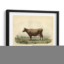 Vache D Angeln - Stellar Design Studio | Cuadro decorativo de Canvas Lab