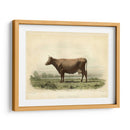 Vache D Angeln - Stellar Design Studio | Cuadro decorativo de Canvas Lab