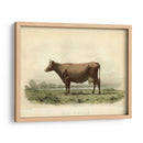Vache D Angeln - Stellar Design Studio | Cuadro decorativo de Canvas Lab