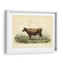 Vache D Angeln - Stellar Design Studio | Cuadro decorativo de Canvas Lab