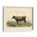 Vache D Angeln - Stellar Design Studio | Cuadro decorativo de Canvas Lab