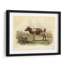 Vache D Ayr - Stellar Design Studio | Cuadro decorativo de Canvas Lab