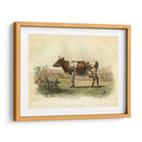 Vache D Ayr - Stellar Design Studio | Cuadro decorativo de Canvas Lab