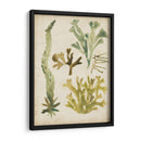 Frondas De Mar Vintage I - June Erica Vess | Cuadro decorativo de Canvas Lab
