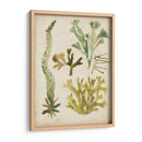 Frondas De Mar Vintage I - June Erica Vess | Cuadro decorativo de Canvas Lab