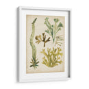 Frondas De Mar Vintage I - June Erica Vess | Cuadro decorativo de Canvas Lab