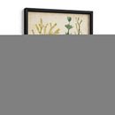 Vintage Fronds Ii - June Erica Vess | Cuadro decorativo de Canvas Lab