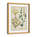 Vintage Fronds Ii - June Erica Vess | Cuadro decorativo de Canvas Lab