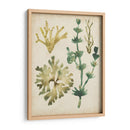 Vintage Fronds Ii - June Erica Vess | Cuadro decorativo de Canvas Lab
