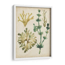 Vintage Fronds Ii - June Erica Vess | Cuadro decorativo de Canvas Lab