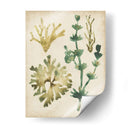 Vintage Fronds Ii - June Erica Vess | Cuadro decorativo de Canvas Lab