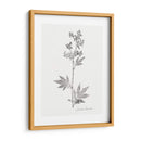 Impresión Botánica Ii - Vision Studio | Cuadro decorativo de Canvas Lab