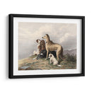 Perros De Montaña - I. Bonheur | Cuadro decorativo de Canvas Lab