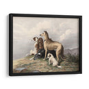 Perros De Montaña - I. Bonheur | Cuadro decorativo de Canvas Lab