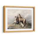 Perros De Montaña - I. Bonheur | Cuadro decorativo de Canvas Lab