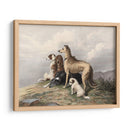 Perros De Montaña - I. Bonheur | Cuadro decorativo de Canvas Lab