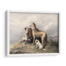 Perros De Montaña - I. Bonheur | Cuadro decorativo de Canvas Lab