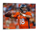 Ofensiva Peyton Manning | Cuadro decorativo de Canvas Lab