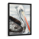 Pelican Gris I - Jennifer Paxton Parker | Cuadro decorativo de Canvas Lab